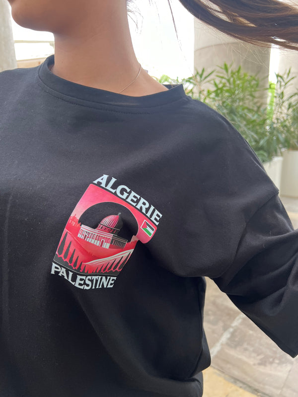 T-SHIRT MIXTE ALGERIE PALESTINE 🇩🇿🇵🇸